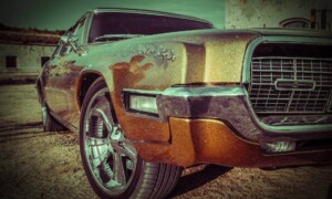 Muscle Car Muscle Car ALT