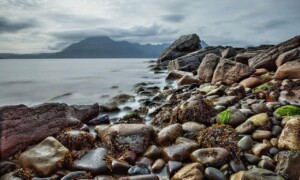 Scottish Shoreline Scottish Shoreline ALT