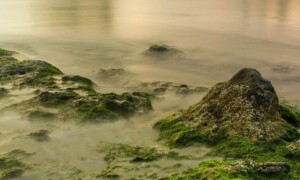 Irish Shoreline Irish Shoreline ALT